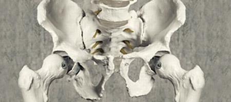 Skeleton Hips
